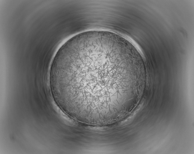 X0000111011004200906261516