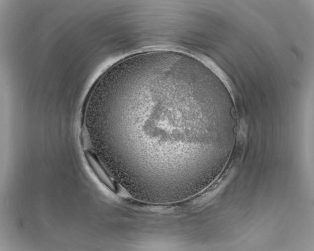 X0000111011005200906261516