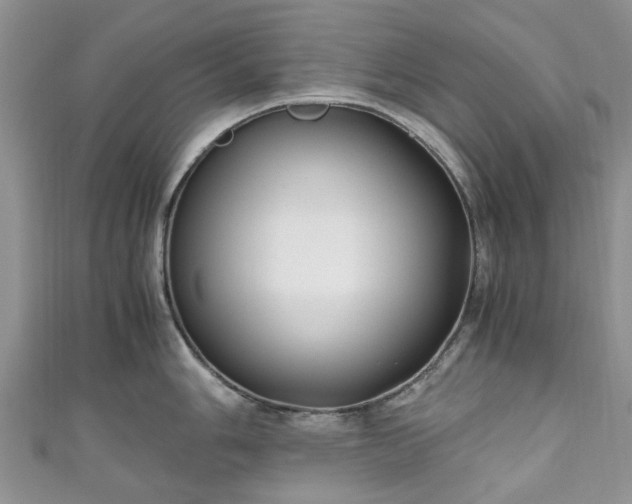 X0000111011006200906261516