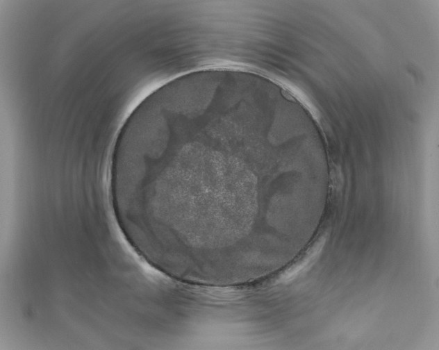 X0000111011007200906261516