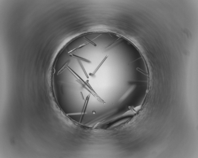 X0000111011008200906261516