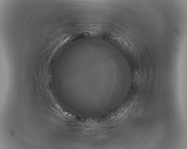X0000111011009200906261515