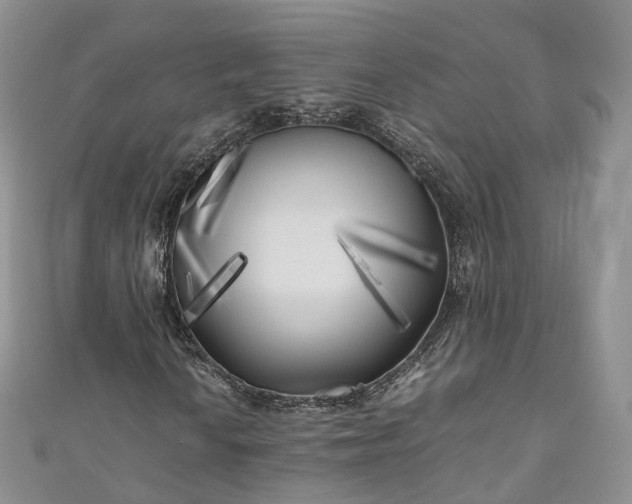 X0000111011010200906261515