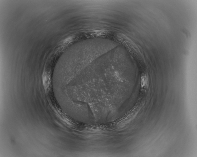 X0000111011011200906261515