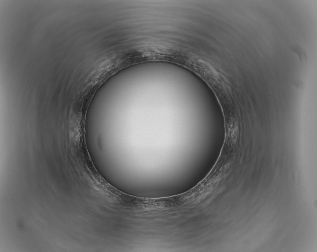 X0000111011012200906261515