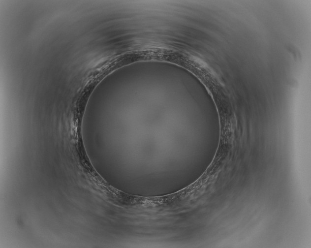 X0000111011013200906261515
