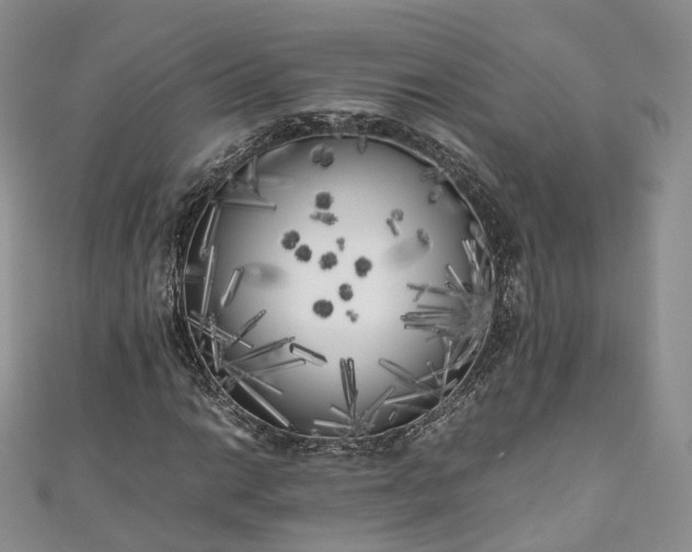 X0000111011014200906261515