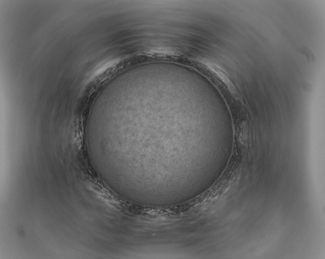 X0000111011015200906261515