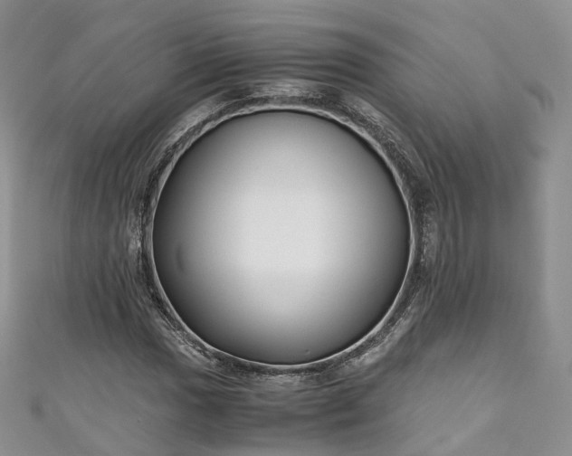 X0000111011017200906261515