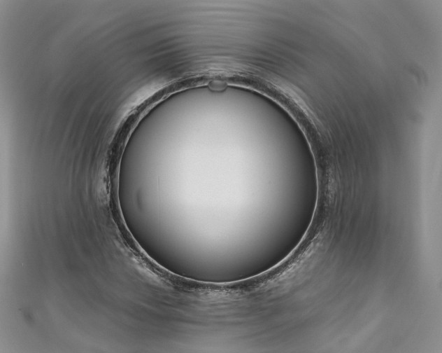 X0000111011018200906261515