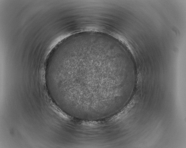 X0000111011019200906261515