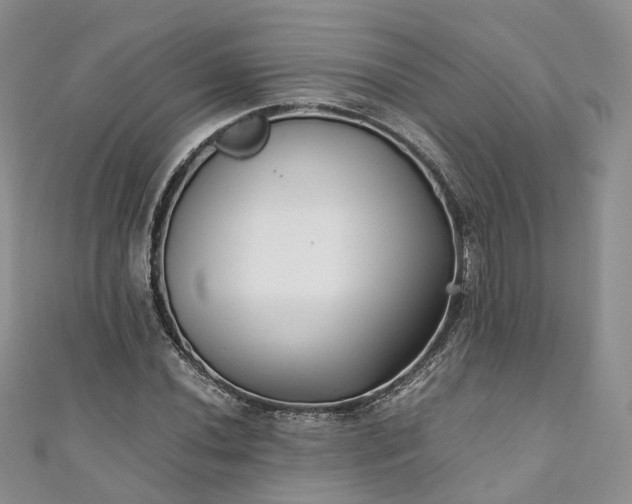 X0000111011020200906261515