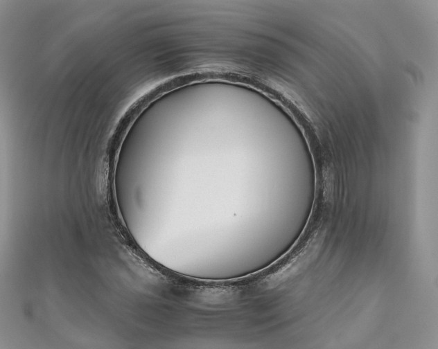 X0000111011021200906261515