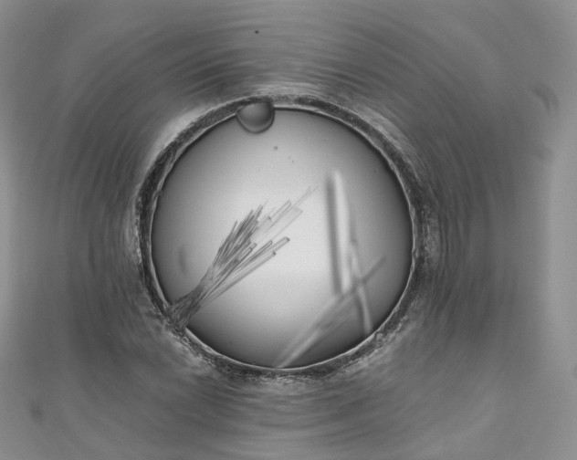 X0000111011022200906261515