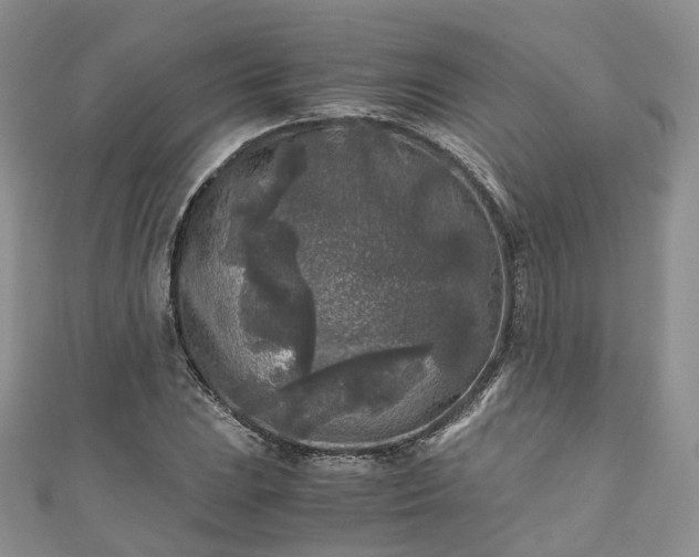 X0000111011023200906261515