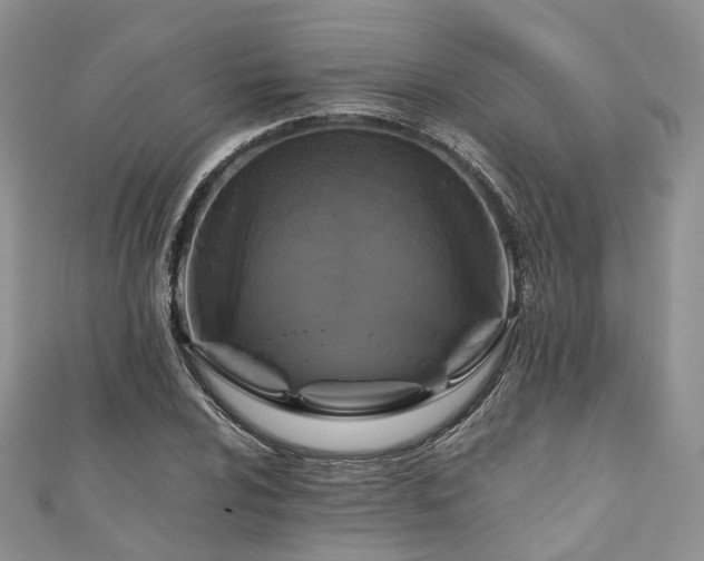 X0000111011024200906261515