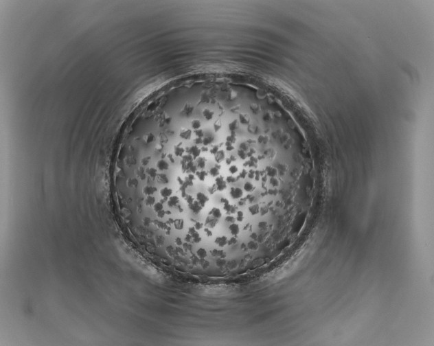 X0000111011025200906261515