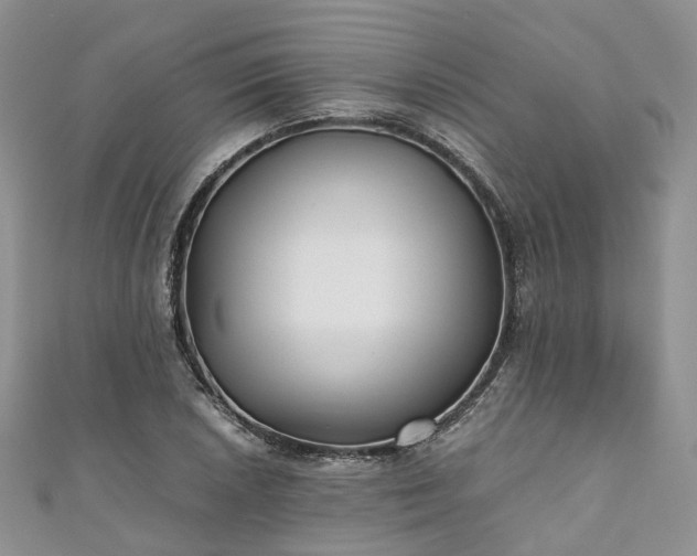 X0000111011026200906261515