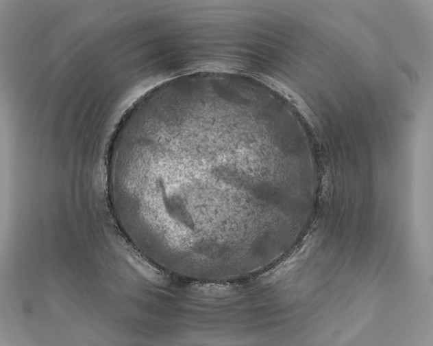 X0000111011027200906261515