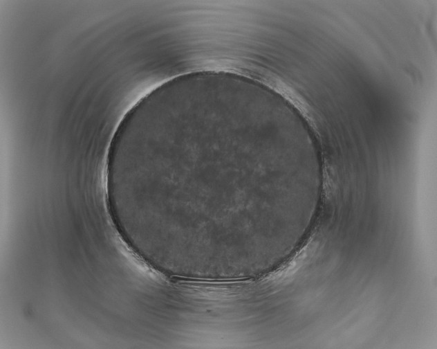 X0000111011028200906261515