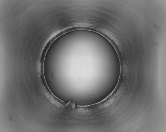 X0000111011029200906261515