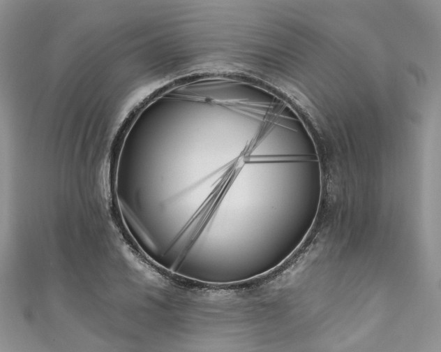 X0000111011030200906261515