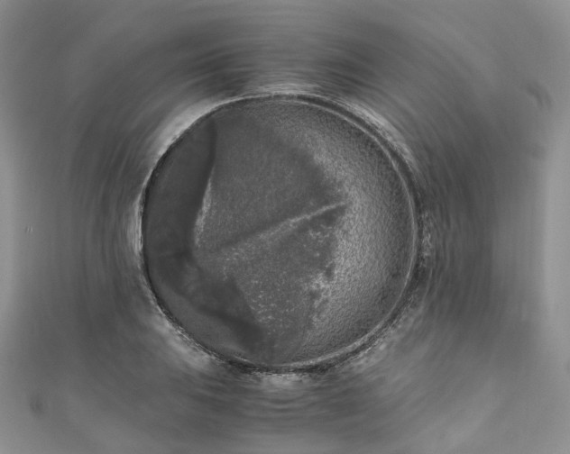 X0000111011031200906261515