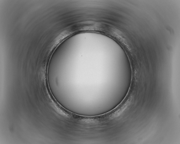 X0000111011033200906261515