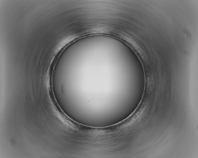 X0000111011034200906261515