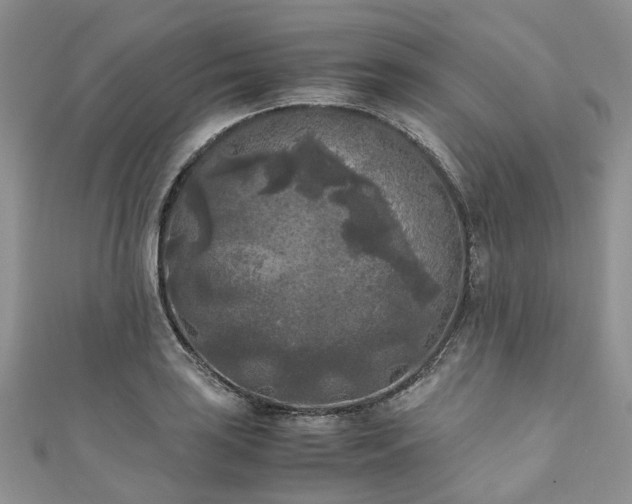 X0000111011035200906261515