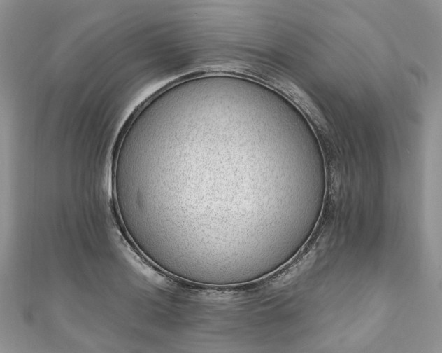 X0000111011036200906261515