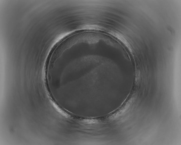 X0000111011037200906261515
