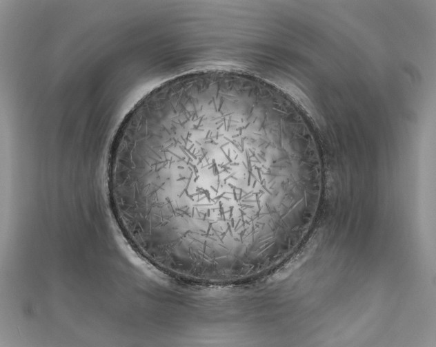 X0000111011038200906261515