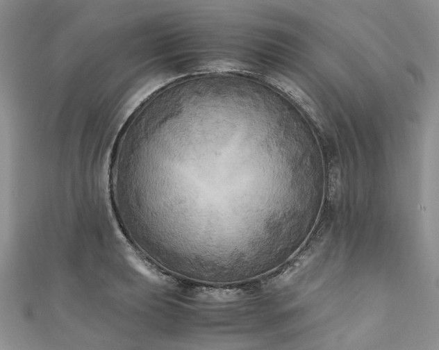 X0000111011039200906261515