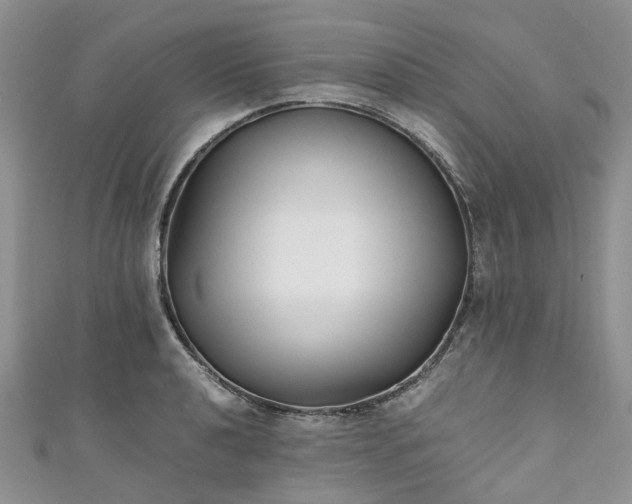 X0000111011040200906261515