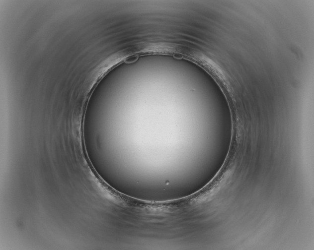 X0000111011041200906261515