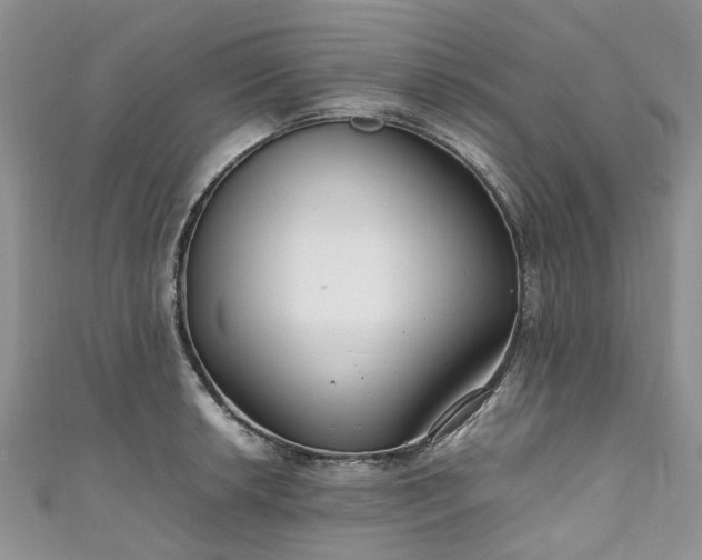 X0000111011042200906261515