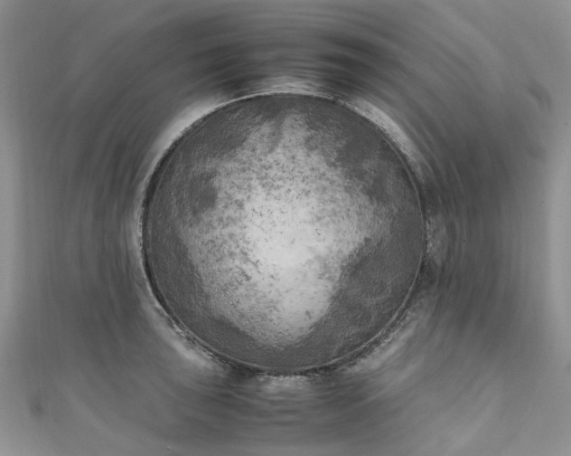 X0000111011043200906261515