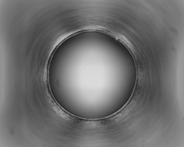 X0000111011044200906261515