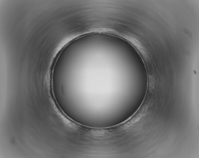 X0000111011046200906261515