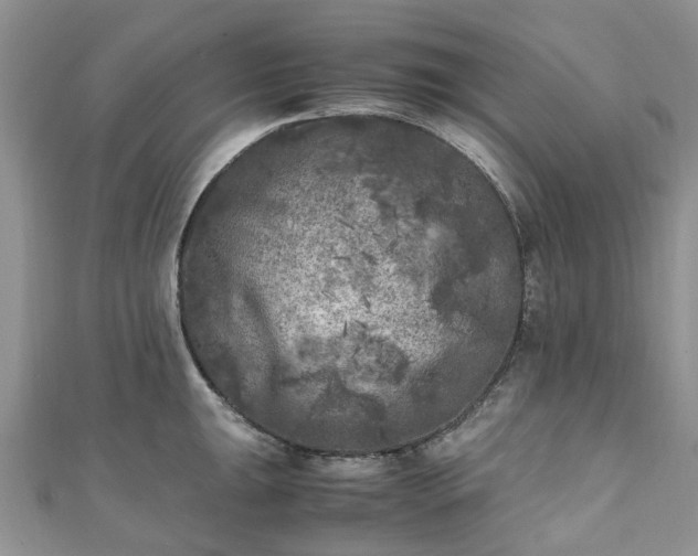 X0000111011047200906261515