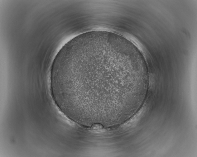 X0000111011048200906261515