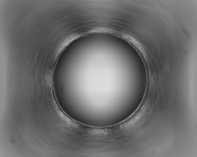X0000111011049200906261515