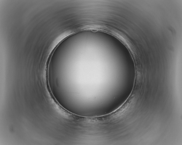 X0000111011050200906261515