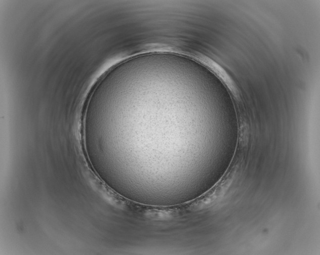 X0000111011051200906261515
