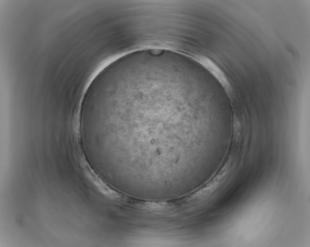 X0000111011052200906261515