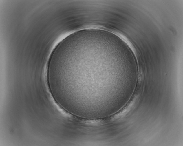 X0000111011053200906261515
