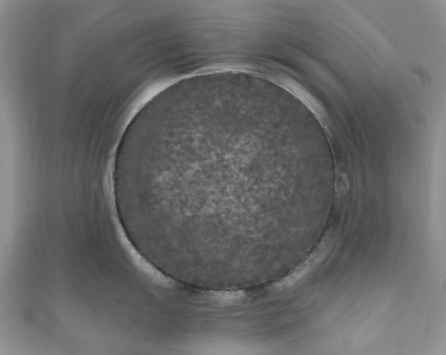 X0000111011055200906261515