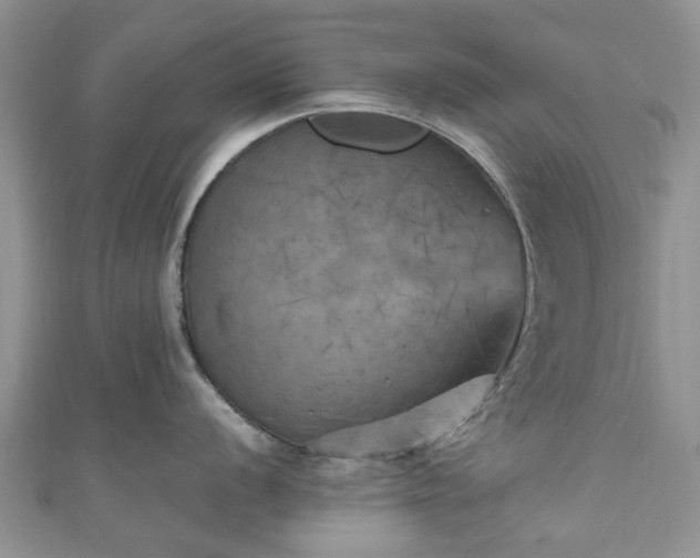 X0000111011056200906261516