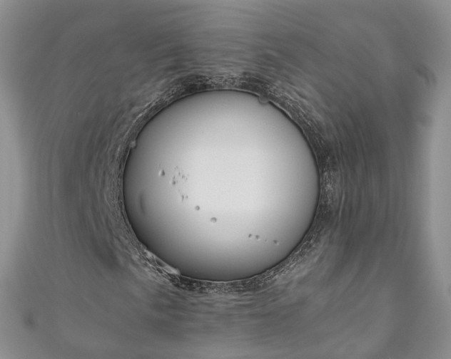 X0000111011057200906261515